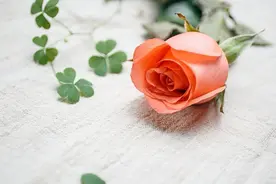 有家庭的男人，婚外遇见了心动的女人，是劫不是缘图片