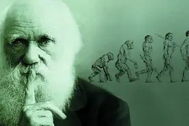 最熟悉的陌生人：你可能对达尔文和他的进化论一无所知图片