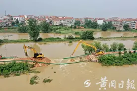 ​【黄冈关注】武穴荆竹河堤郑公塔段溃口封堵快速推进图片