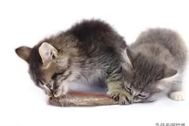 给女孩们一个建议，没结婚不要住到男方家里去图片