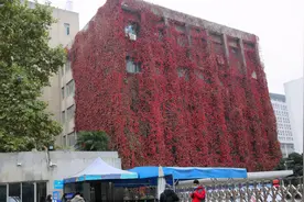 大学期间一定要当班委，参加学生会吗？那些当班长的后来怎样了？图片