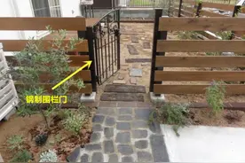 这才是入户小院，种菜种树，不全打水泥铺上沙子，孩子能玩一整天图片