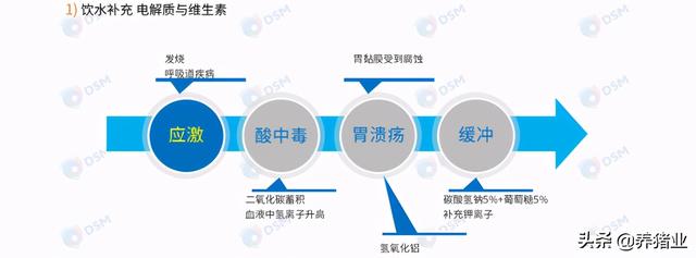 李曼大会听课笔记连载（二）（母猪营养、生长速度、应激、无抗）
