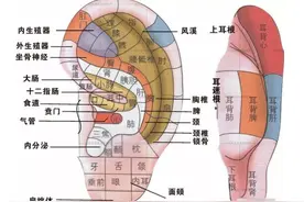 养足精神，从养护耳朵做起图片