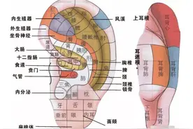 养足精神，从养护耳朵做起图片