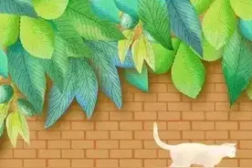 男人过了50岁，跟谁最亲？2个男人说出心里话图片