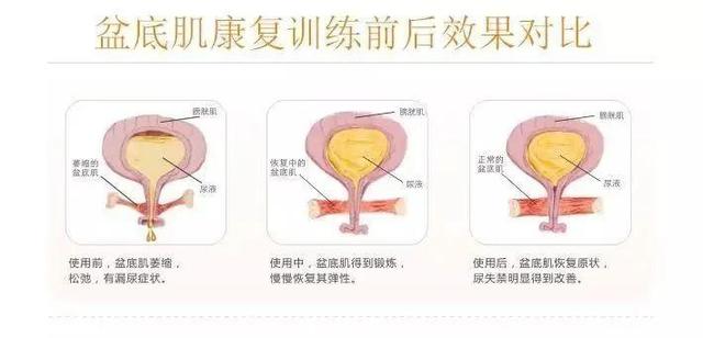 3.8Ů��ڣ���׿����Żݻ��ʼ��