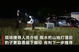 杭州第3只出逃豹子搜寻现场下雨 工作人员：地面打湿后豹子更容易留下脚印图片