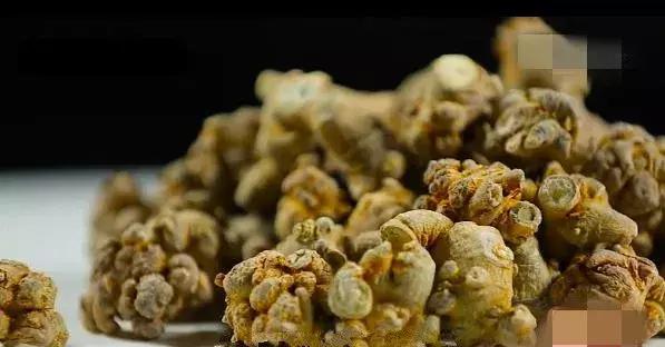 大米粥配它，喝走一身血瘀，血管干干净净