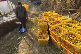 15岁农家少年酒吧豪掷28万，24次买8888元一瓶香槟图片