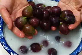 葡萄只用盐和面粉洗，等于吃虫卵，教你一招，虫卵农药残留全溜走图片