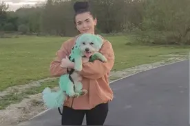 会给狗狗买生日蛋糕的英国主妇惊呆：女儿让它变成了绿色肉球图片