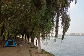 沈阳“丁香湖公园”实景图片图片