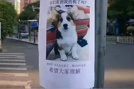 爆笑趣事：张主任在吗？他已经不在人事了！啊？咋不在人世了呢？图片