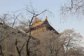 武汉大学现任领导班子成员籍贯及毕业院校情况分析图片