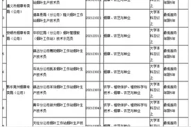贵州省烟草专卖局（公司）2021年大学生招聘公告（17人，3月25-31日报名）图片