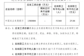 广东银行招聘网：三大政策性银行工资待遇图片