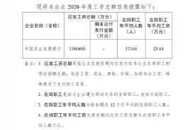 广东银行招聘网：三大政策性银行工资待遇图片
