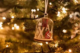 迷途的羔羊——圣诞节寻找失联学生始末图片