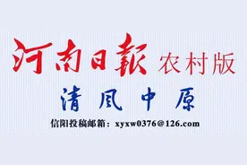 杨蕾：以精准有效监督为防汛救灾和脱贫攻坚“保驾护航”图片
