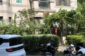 市民反映称郑州一均价3万的高档小区里存在大量违建！社区居委会：情况属实，已反馈给上级部门图片