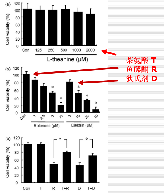 茶叶中的茶氨酸是什么，它的保健功效：抗血压、抗肿瘤、缓解抑郁症、增强记忆力