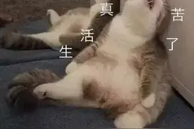 表情包：看我无敌风火轮手势图片