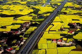 我骄傲，我是湖北人图片