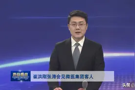 视频丨崔洪刚张涛会见微医集团客商图片