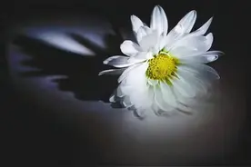 为什么老梦见去世的亲人？看完三点你就知道是好是坏了图片
