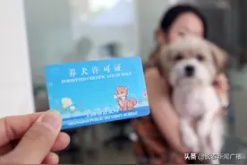 文明养犬从我做起 让城市更美好和谐图片