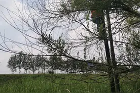 # 纤夫的爱 #图片