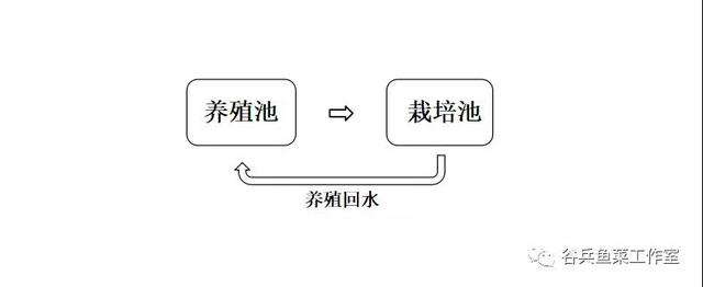 鱼菜共生植物缺素新认知（续篇）