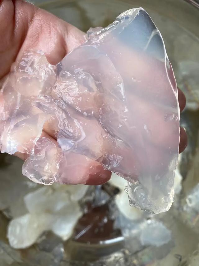 蝴蝶胶怎么泡发 2026年蝴蝶胶怎么泡发快