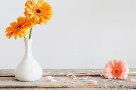 极简生活 不再购买的20种物品（二）图片