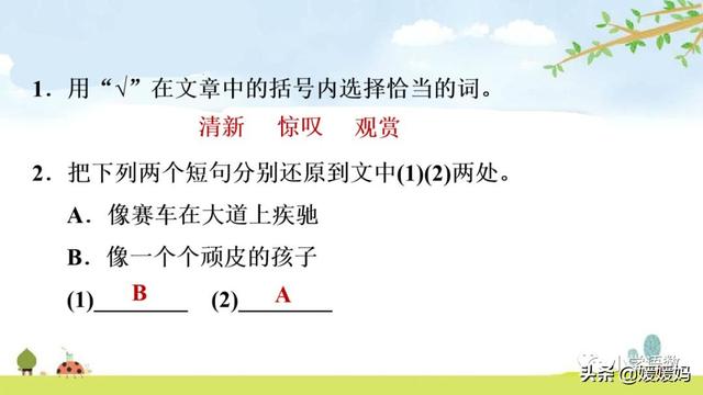 四年级下册语文第17课《记金华的双龙洞》图文详解及同步练习
