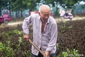 男人到了60岁，还会对女人动心吗？听听农村60岁大爷的心里话图片