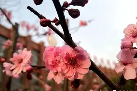 蓝天救援队走进日照海曲高中防疫消毒护平安图片