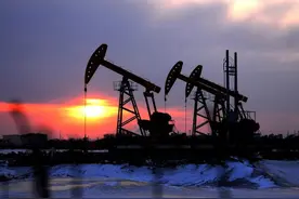 黑龙江制造业100强名单：九三粮油第2，黑龙江烟草第13图片