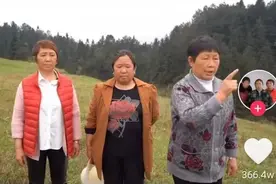 2020年，“疯子们”赢了，普通人又输了图片