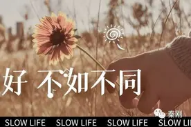 创业让你进入赚钱蓝海项目，与其更好 不如不同图片