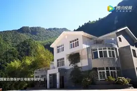 神仙眷侣！2000米大山里，他们看鸟、养娃，一待就是7年图片