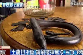 男子花2万买蛇酒，20年后发现酒里竟是塑料蛇，动物酒功效靠谱吗图片
