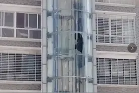 砰！观光电梯玻璃幕墙突然爆裂！现场犹如放炮声，下了一阵玻璃雨，所幸无人员受伤图片