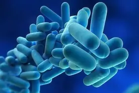 益生菌应该空腹吃还是餐后吃？营养师提醒：益生菌并非人人都适合图片