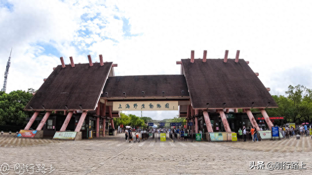 上海动物园旅游攻略(上海两个动物园哪个好)