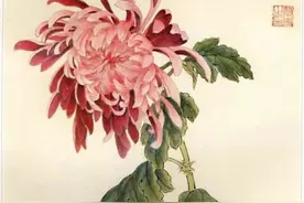 她是老舍的夫人，“菊花”是她独领风骚的领域图片