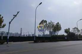 万科森林公园一路向北，实探庐阳区和昌纯新盘图片