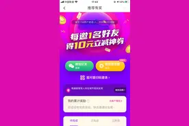 半岛记者起底“花小猪”：烧钱送补贴准入门槛低，已被多地约谈叫停图片