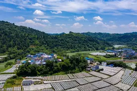 宅基地符合这4种情况之一，非农户口也能确权图片